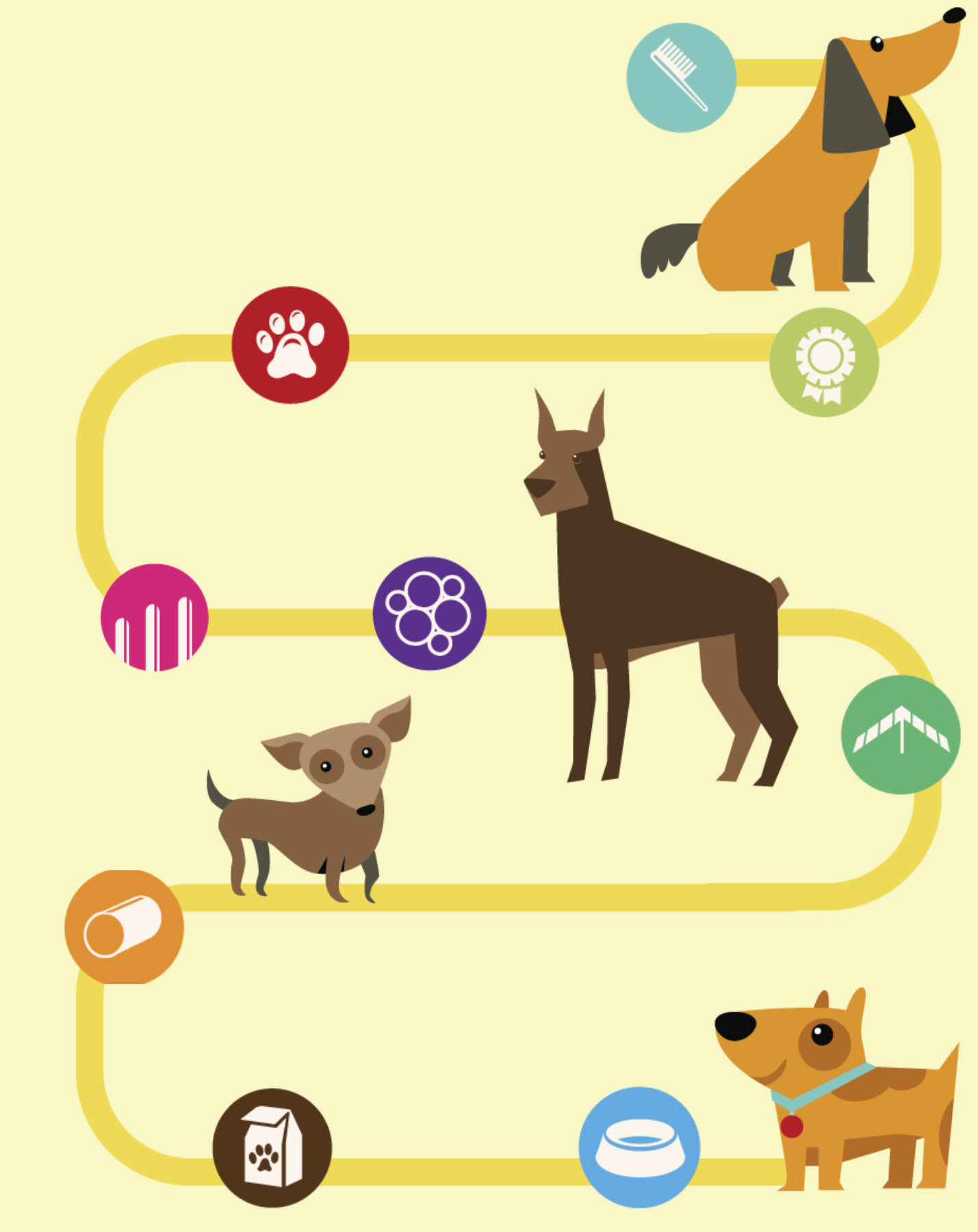 Agility Course