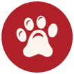 Dog Walk